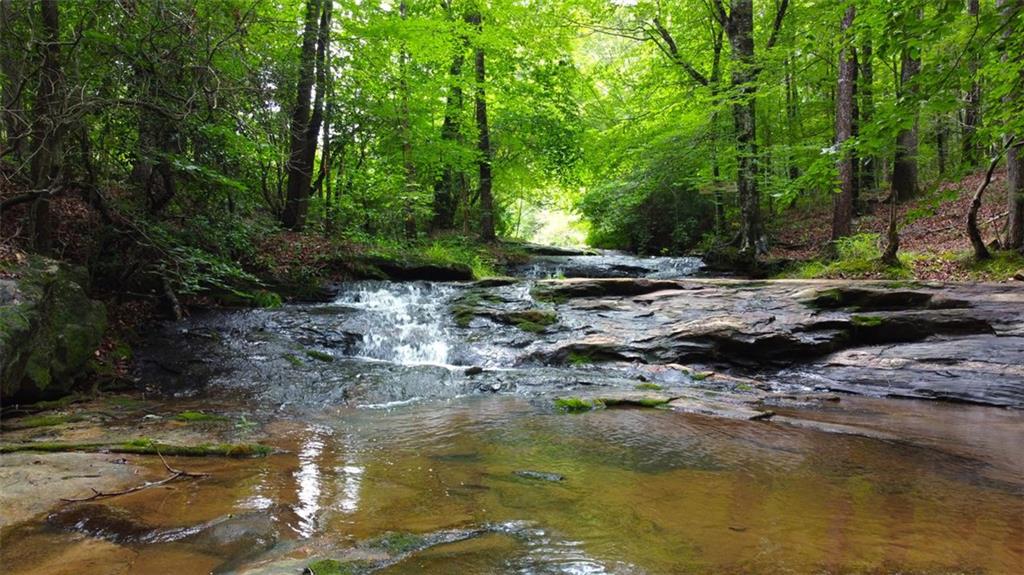 Quill Road, Bowman, Georgia image 19
