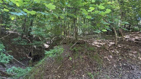 Vacant Land For Sale - LT1178 Optic Court<br/> Ellijay, GA 30540