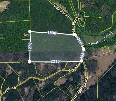 Vacant Land For Sale - 000 Taliaferro Springs Road<br/> Chattooga County, Lyerly, GA 30730
