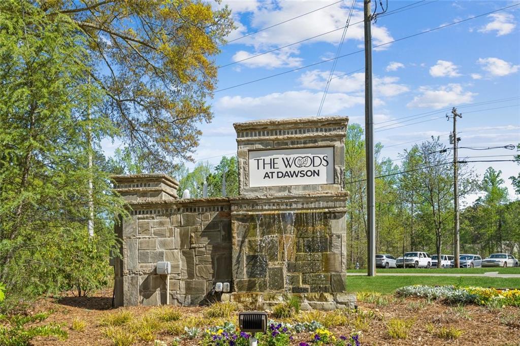 164 Long Leaf Street, Dawsonville, Georgia image 39