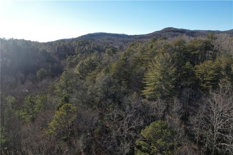 Vacant Land For Sale - Old Miller Rock Road<br/> Ellijay, GA 30540