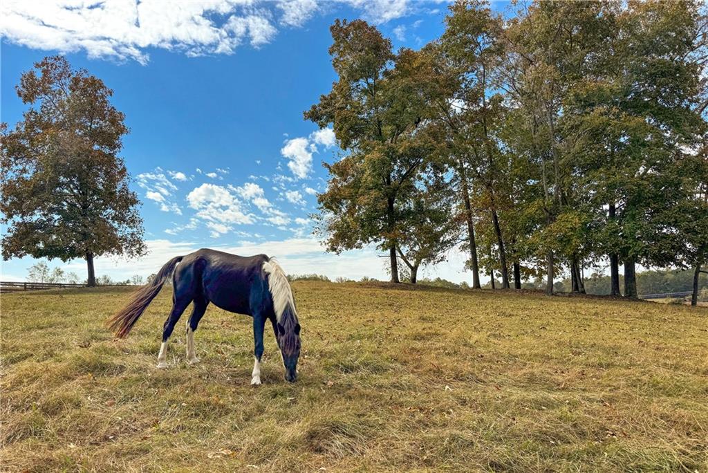 Lake Lanier - Residential