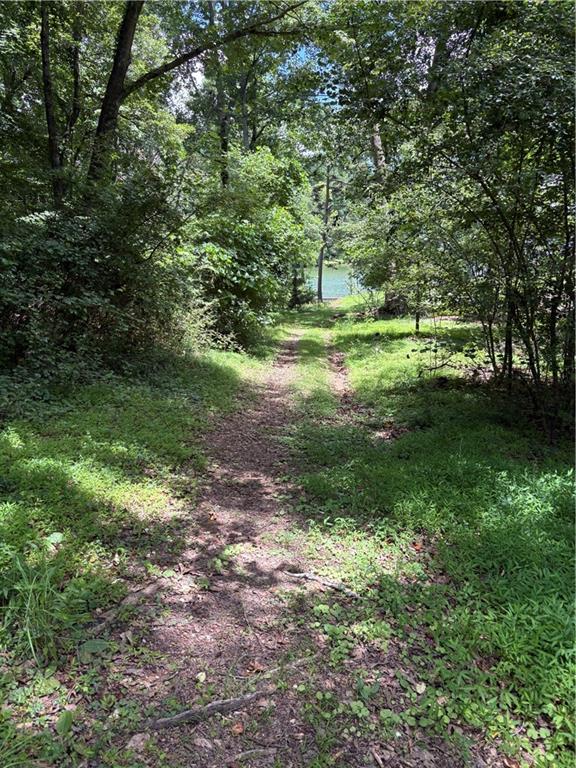 Lake Lanier - Residential