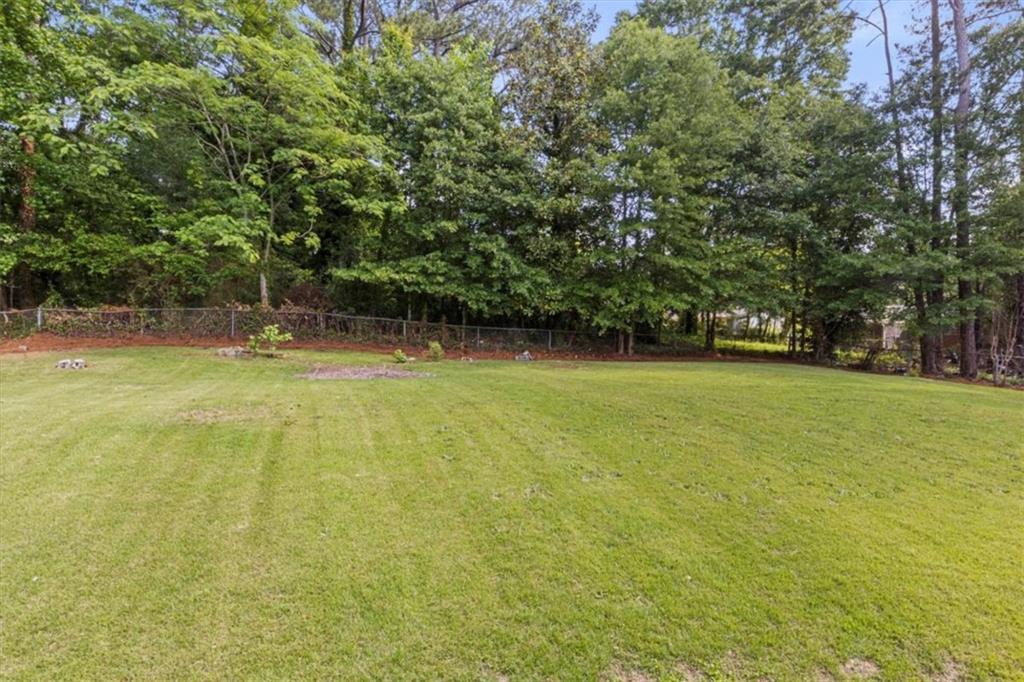 1253 Willow Drive, Riverdale, Georgia image 35