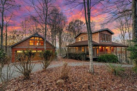 A home in Mineral Bluff