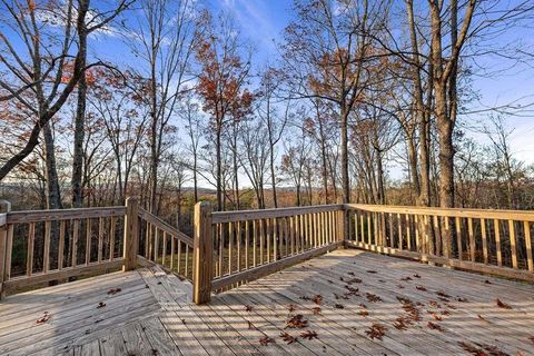 A home in Mineral Bluff