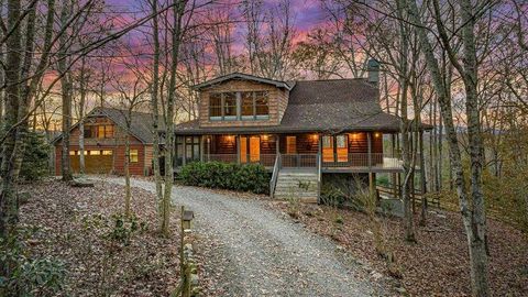 A home in Mineral Bluff