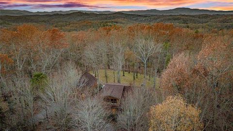 A home in Mineral Bluff