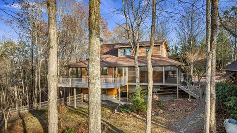 A home in Mineral Bluff