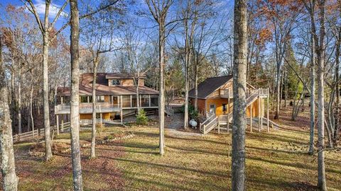 A home in Mineral Bluff