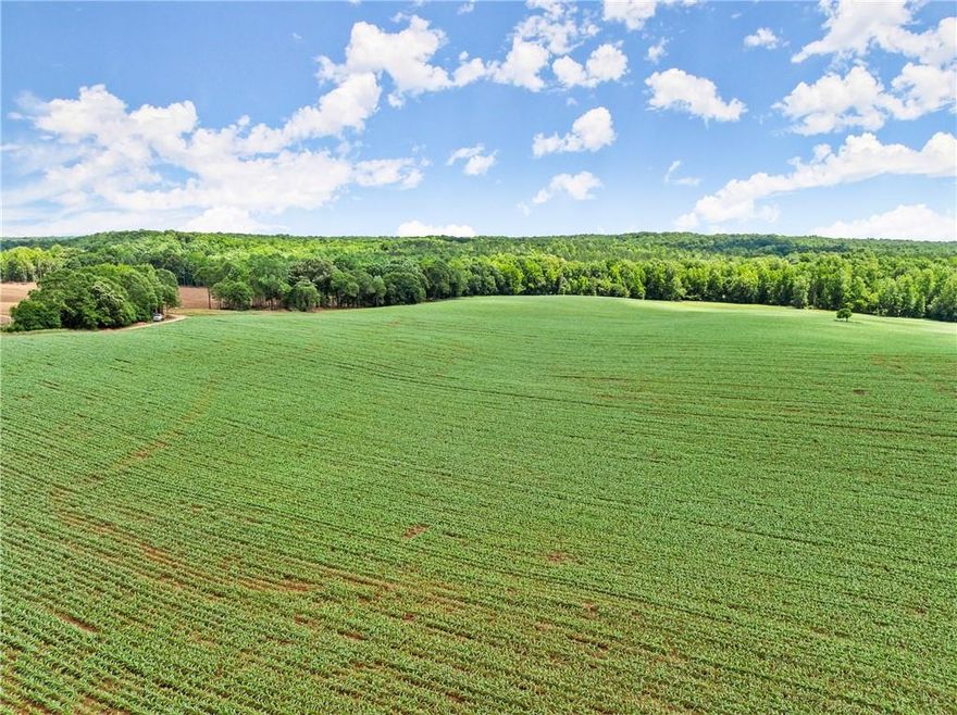 Discover the potential of this stunning 325.211-acre property, offering a rare combination of natural beauty, accessibility, and development opportunities. Situated at the dead end of a quiet county road, this gently sloping land features paved road frontage and city water available just half a mile away.
This offering includes two parcels (ID #054 009 and #054 010) that must be sold together, providing expansive acreage for various uses. The property boasts a serene creek/river and abundant wildlife, making it an ideal retreat or recreational haven. Additionally, the land is currently in Land Conservation, offering potential tax benefits for the new owner.
With the possibility of annexing the property into the City of Arcade and city water access on both David Road and Rambler Inn Road, this land presents incredible development potential. Whether you envision a private estate, recreational property, or a development project, this unique acreage is ready to bring your vision to life. Don’t miss this rare opportunity—schedule your visit today