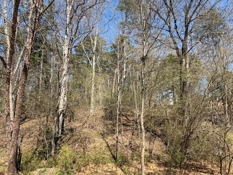 Vacant Land For Sale - LOT 2 Jack Pittman Road<br/> Dacula, GA 30019