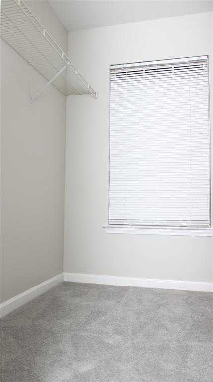 NEW HAVEN - Residential Lease