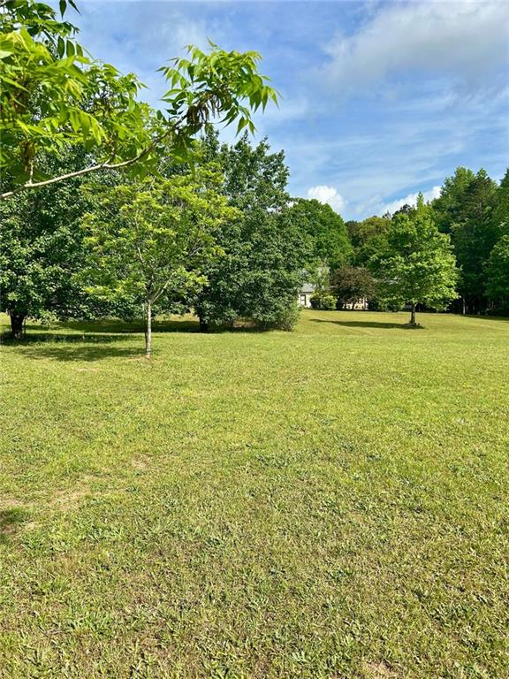 4392 Lower Fayetteville Road, Sharpsburg, Georgia image 34