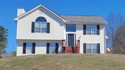 Homes For Sale - 1620 Amelia Court<br/> Hampton, GA 30228