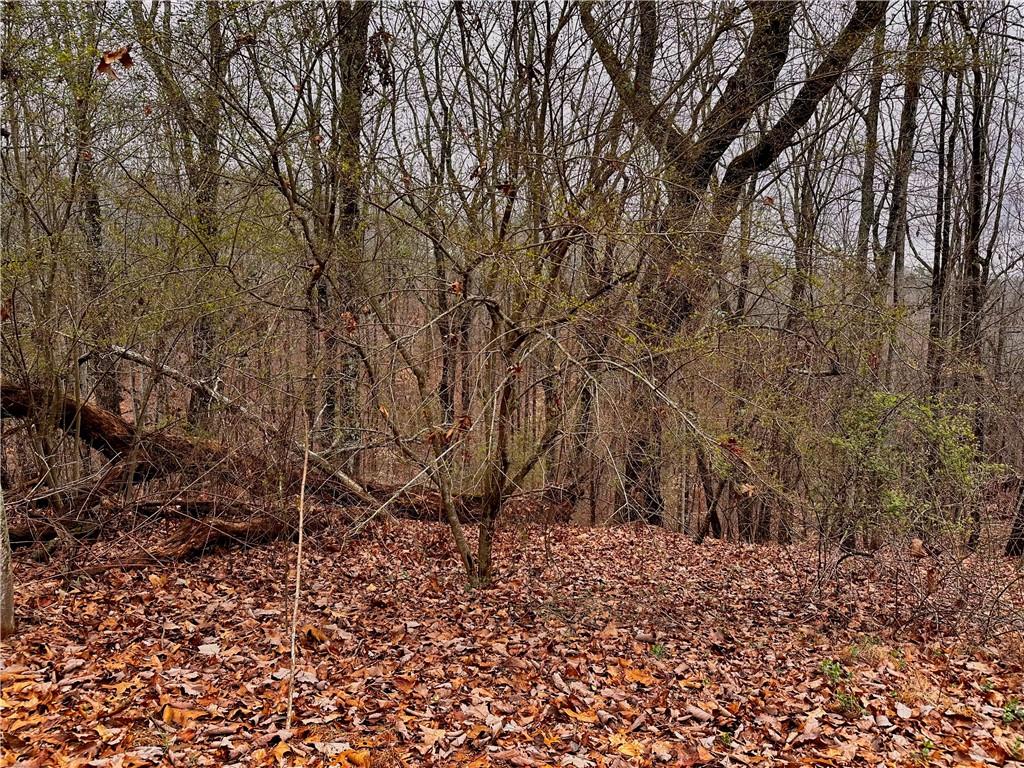 2598 White Sulphur Road