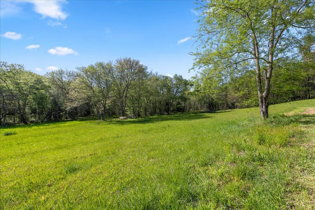 812 Lickskillet Road, Epworth, Georgia image 38