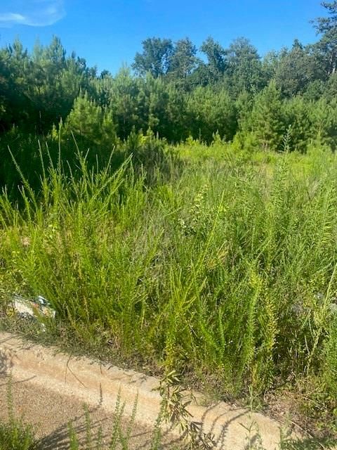 0 SE NORTHLAKE Drive SE Conyers GA 30013