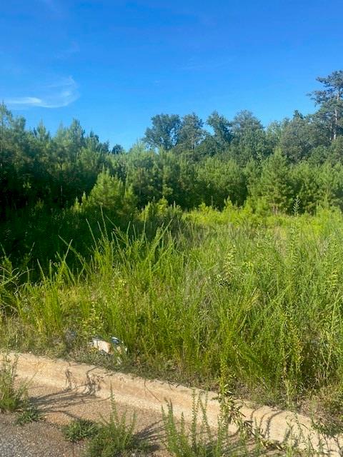 0 SE NORTHLAKE Drive SE