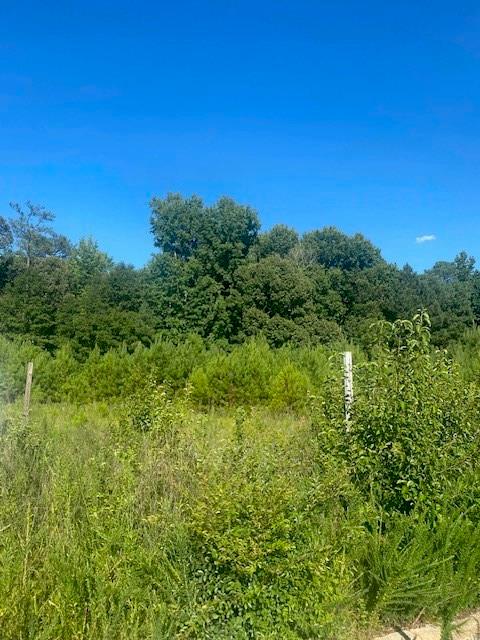 0 SE NORTHLAKE Drive SE