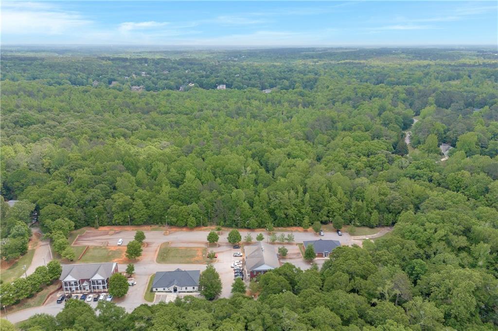 1080 Barber Creek Drive, Watkinsville, Georgia image 7