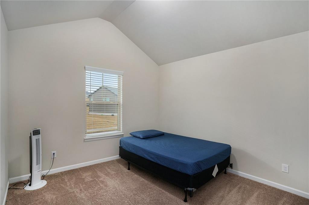 224 Osier Drive, Mcdonough, Georgia image 30