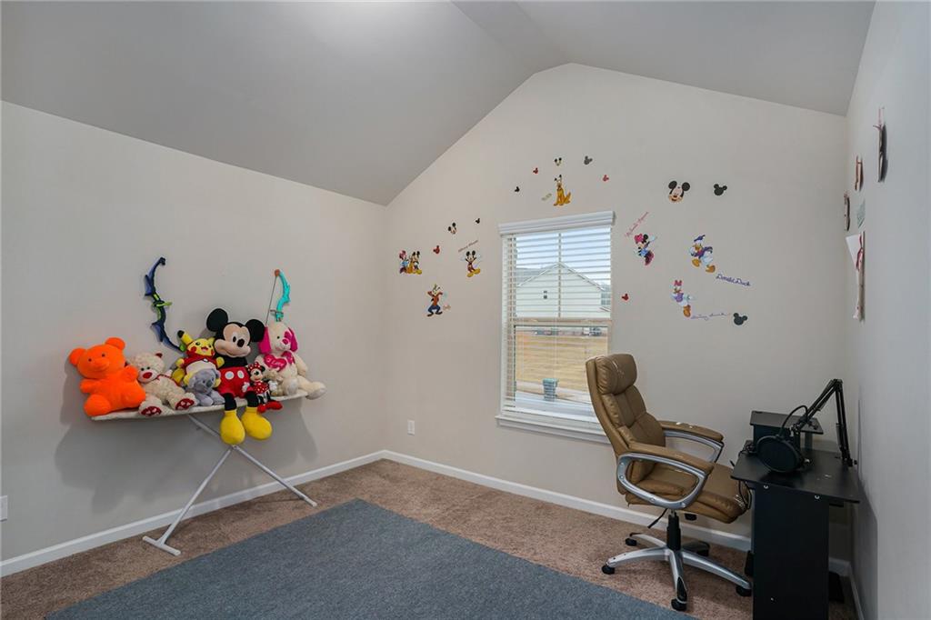 224 Osier Drive, Mcdonough, Georgia image 32