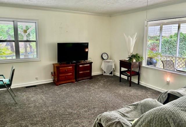 437 Apple Ridge 2