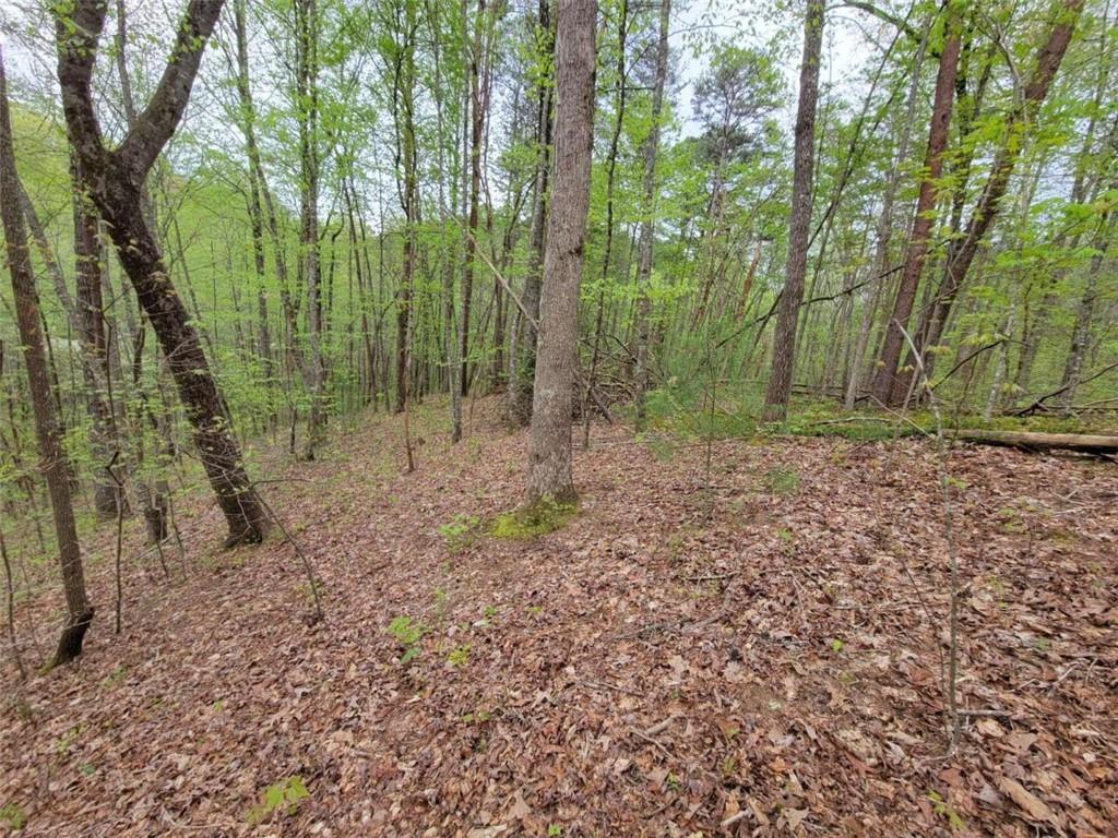 LOT27 Oak Ridge, Ellijay, Georgia image 10