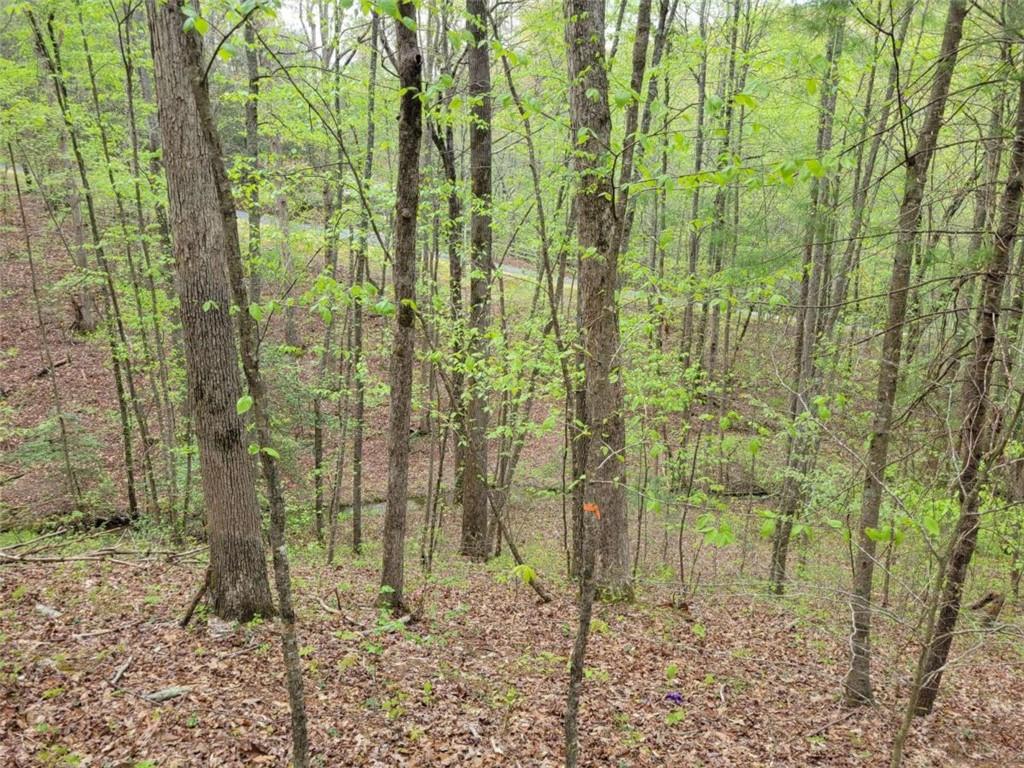 LOT27 Oak Ridge, Ellijay, Georgia image 9