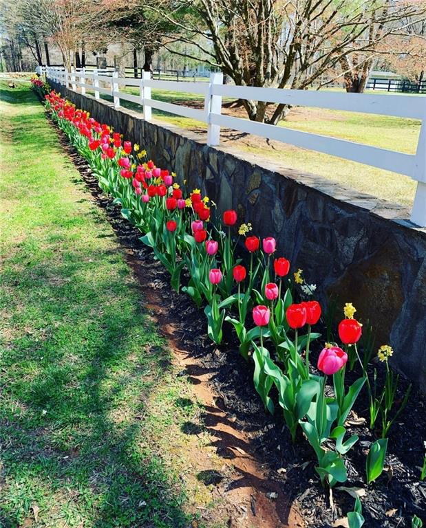 2324 E Cherokee Drive