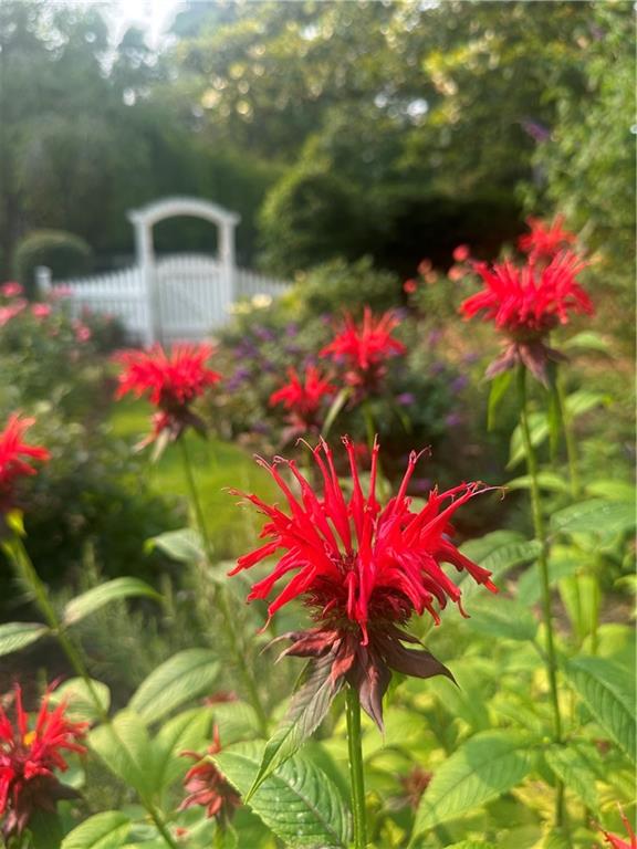 2324 E Cherokee Drive