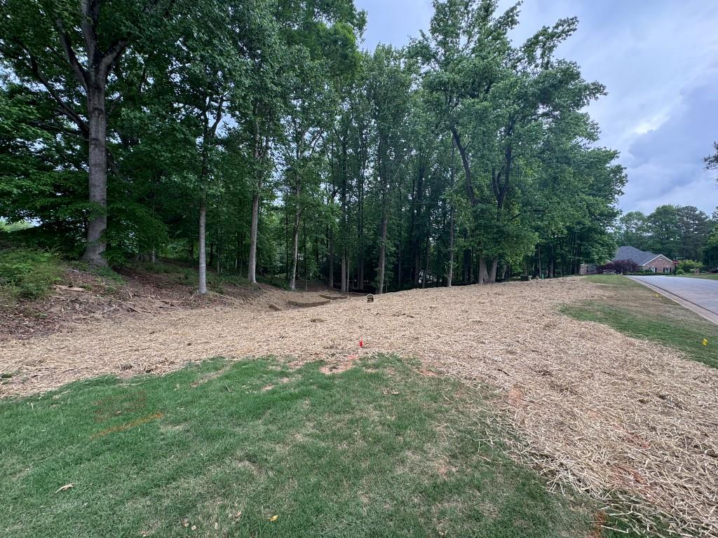 4708 Upper Berkshire Road, Flowery Branch, Georgia image 10