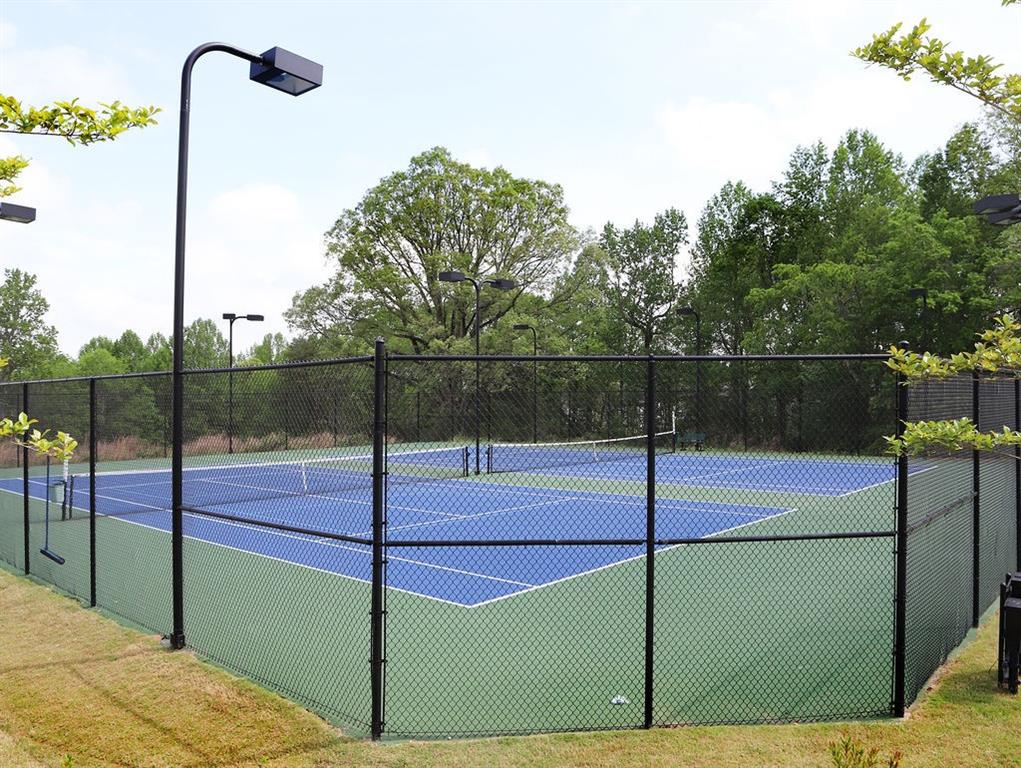 148 Silver Beech Lane, Dawsonville, Georgia image 30
