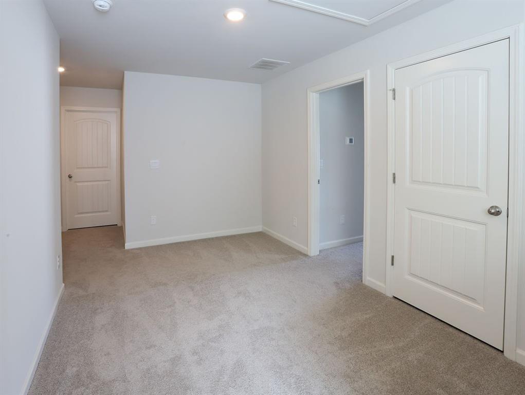 148 Silver Beech Lane, Dawsonville, Georgia image 22