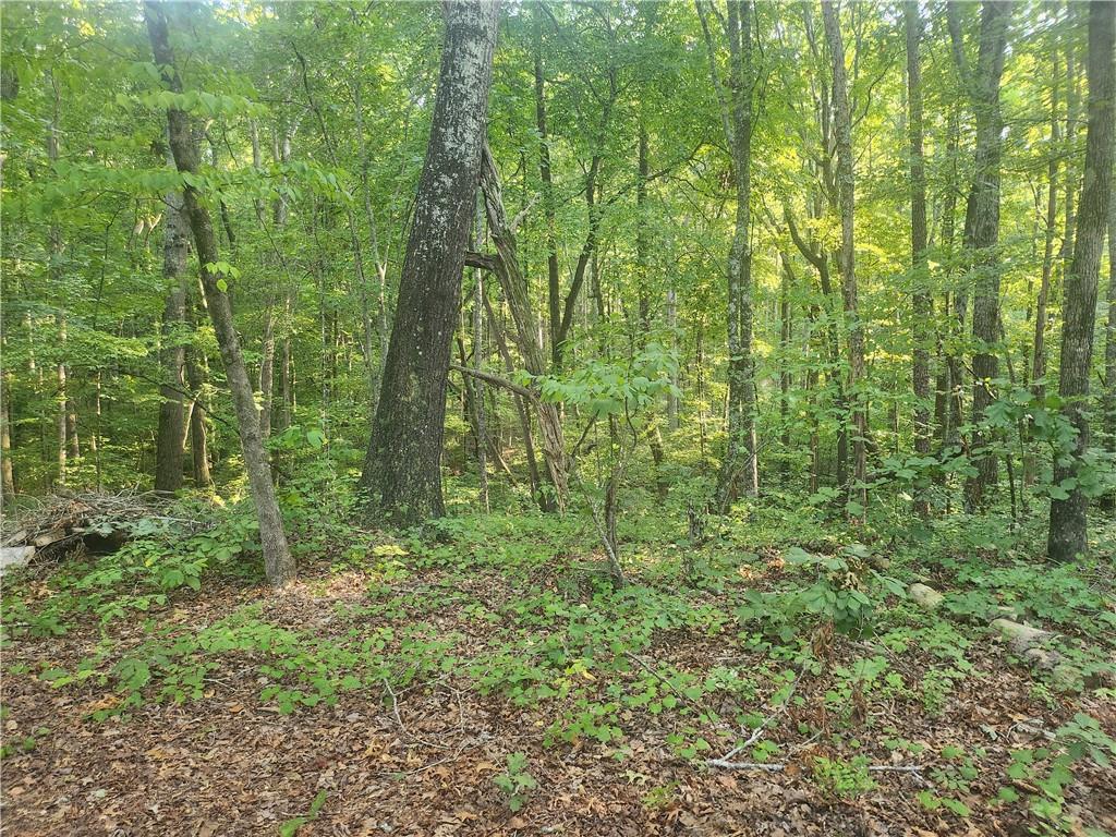 340 Pat Rich Drive
