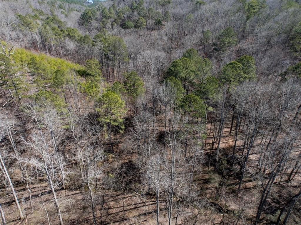 190 Hasty Road, Rome, Georgia image 5