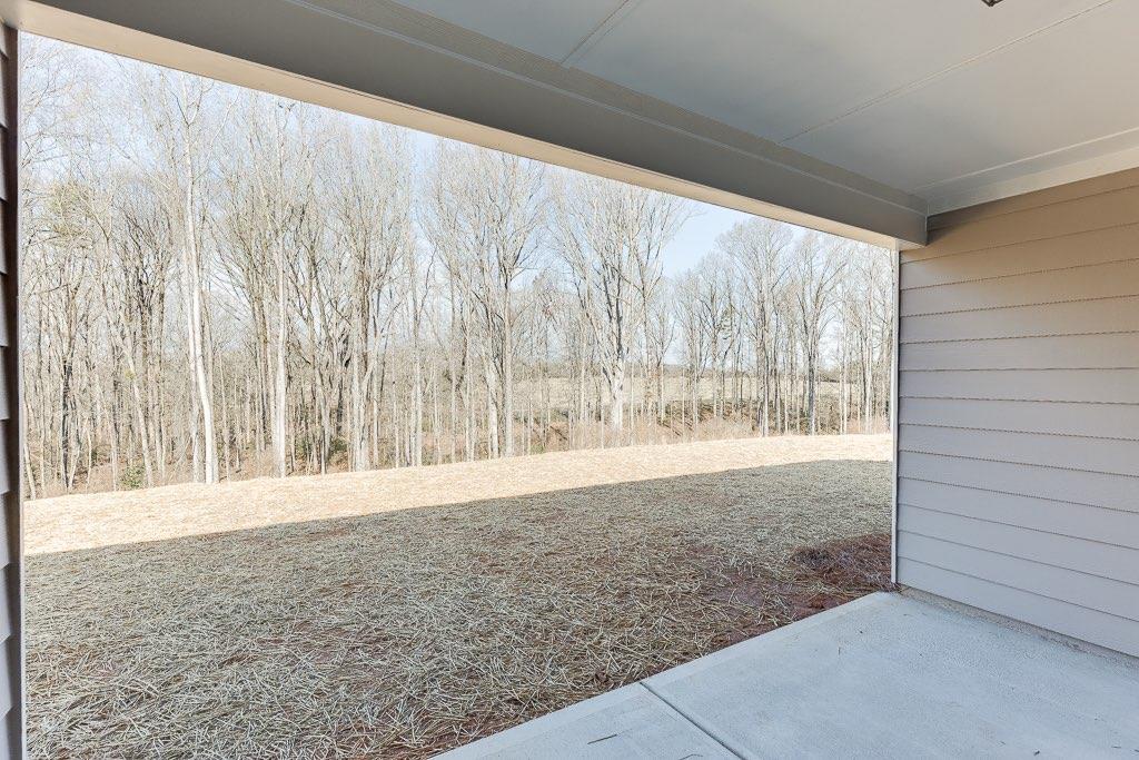 246 Franklin Hills Drive, Carnesville, Georgia image 35