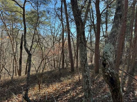 Vacant Land For Sale - 1493 Derby Court<br/> Ranger, GA 30734