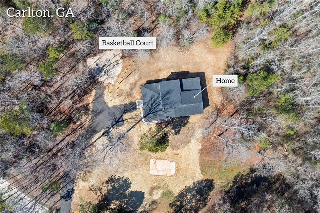 737 Broad River Road Rd, Carlton, Georgia image 6