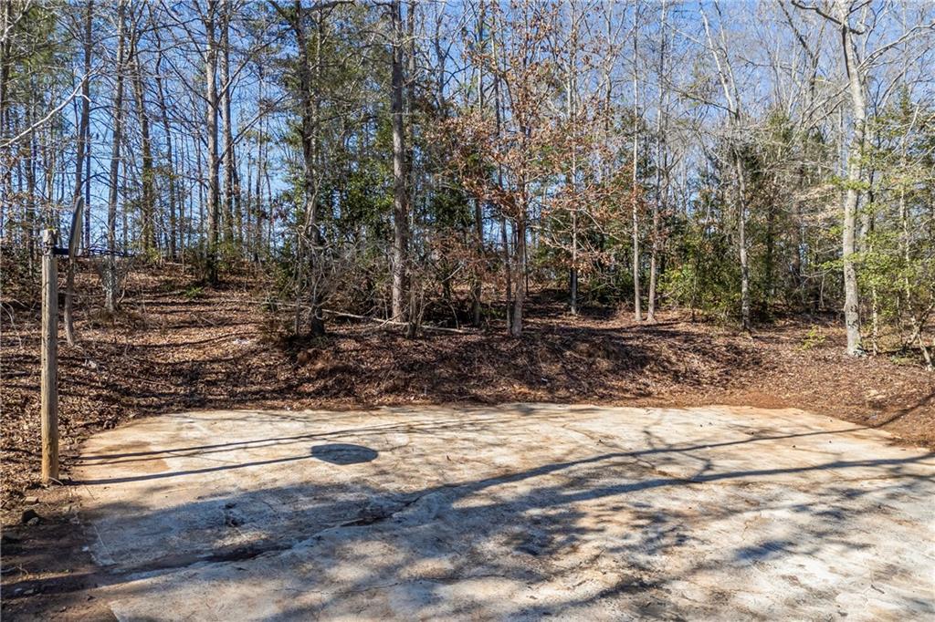 737 Broad River Road Rd, Carlton, Georgia image 17