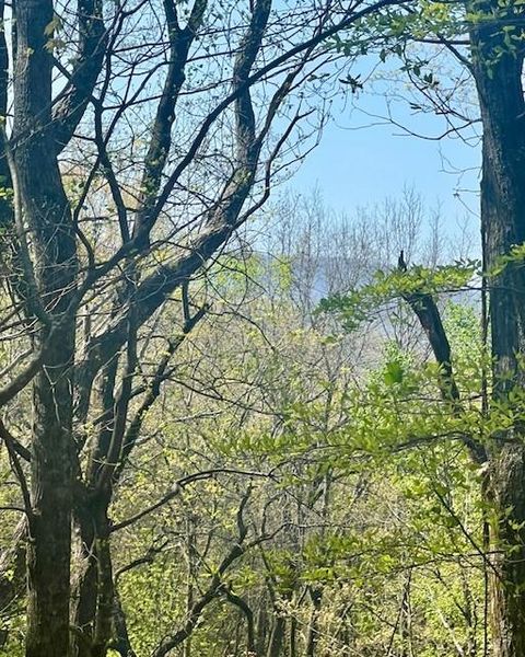 Vacant Land For Sale - 450 Wild Turkey Bluff<br/> Jasper, GA 30143