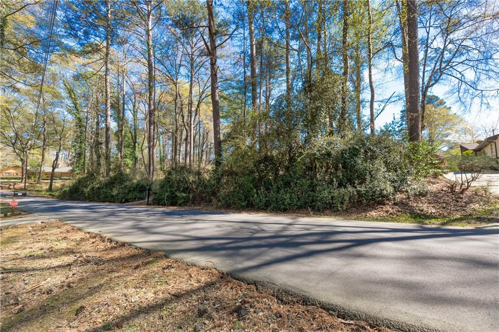 Winona Drive, Fayetteville, Georgia image 17