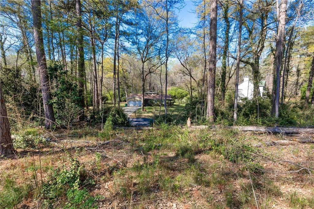 Winona Drive, Fayetteville, Georgia image 8