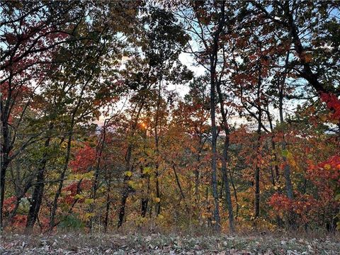 Vacant Land For Sale - 264 Stirratt Road<br/> Ranger, GA 30734