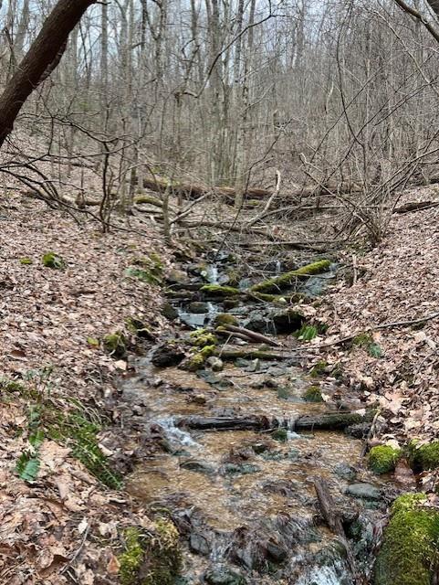 Lot 01 Upper Sassafras Parkway, Jasper, Georgia image 7