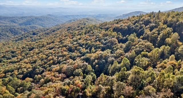 Lot 01 Upper Sassafras Parkway, Jasper, Georgia image 5