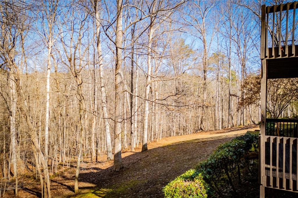 3595 Mason Ridge Drive, Winston, Georgia image 47