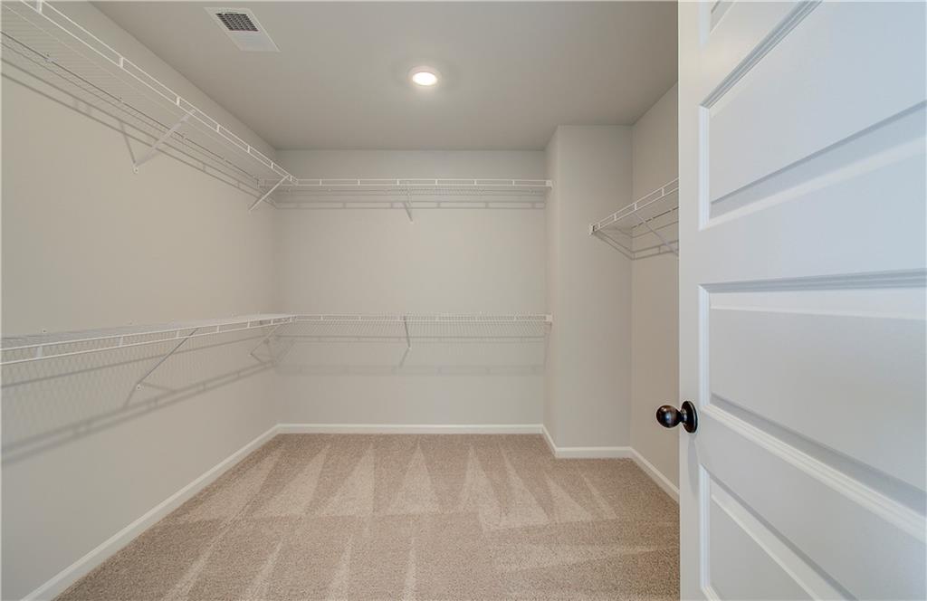 178 Haverling Pass, Hampton, Georgia image 14