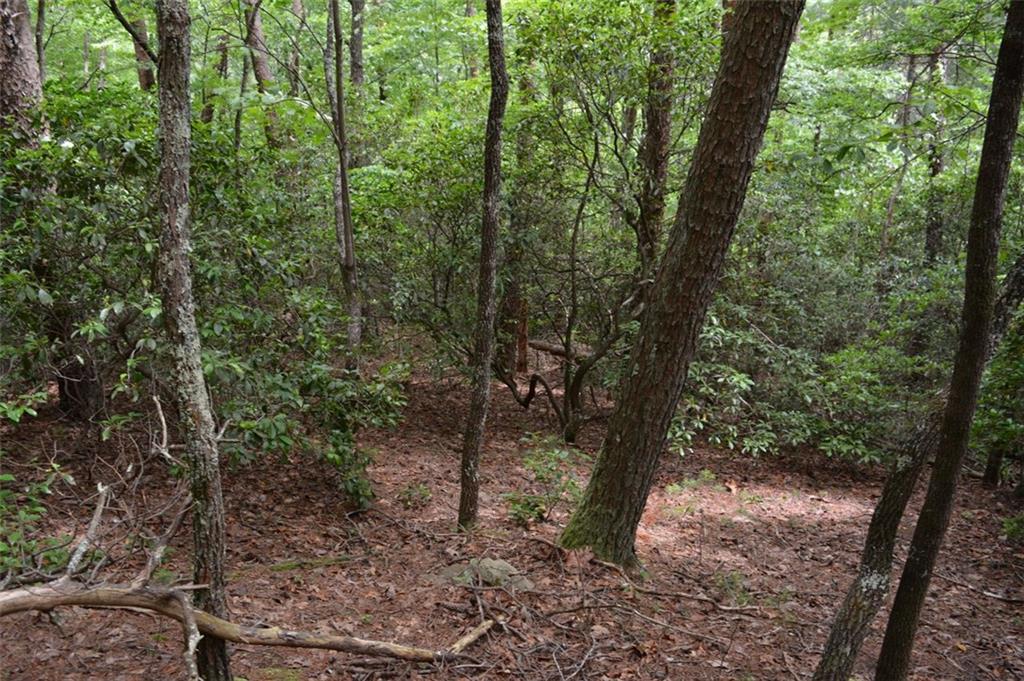 20 Goldmine Drive, Ellijay, Georgia image 7